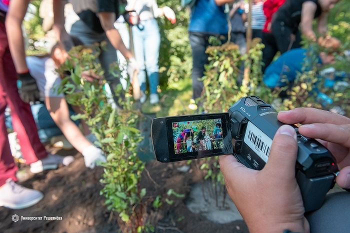 Odoo изображение и текстовый блок