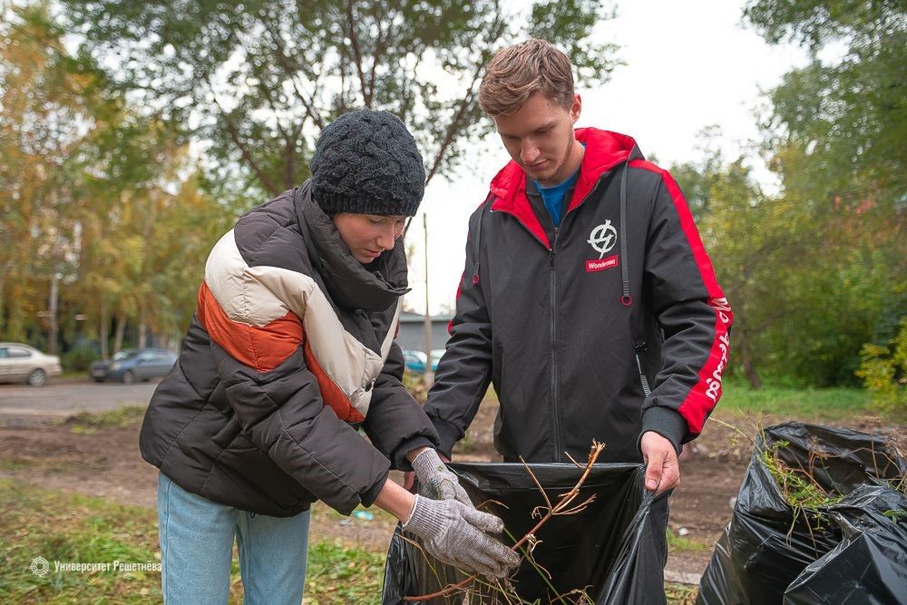 Odoo изображение и текстовый блок