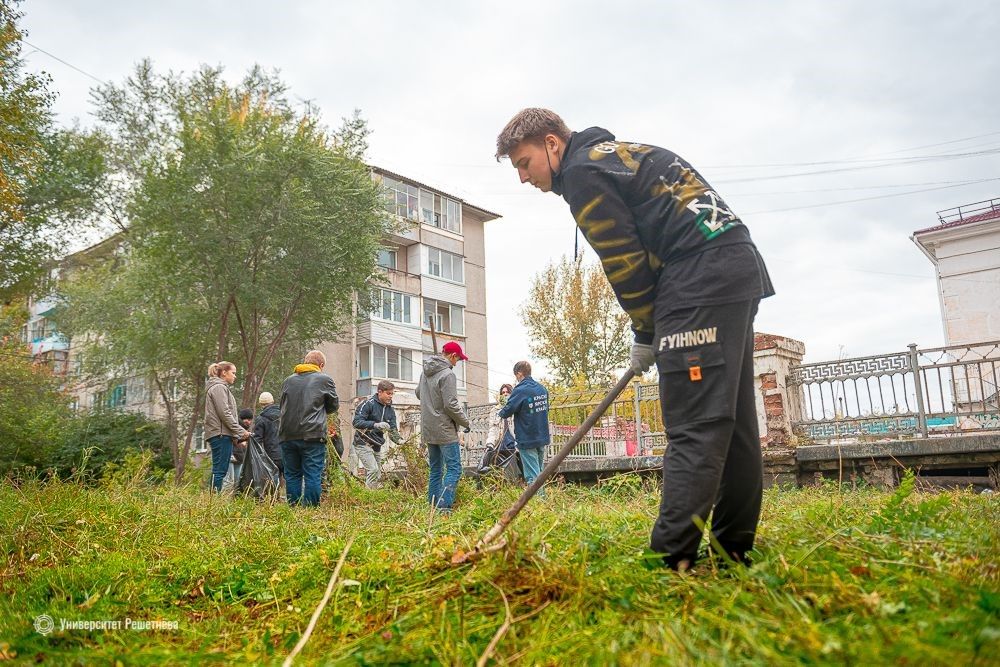 Odoo изображение и текстовый блок