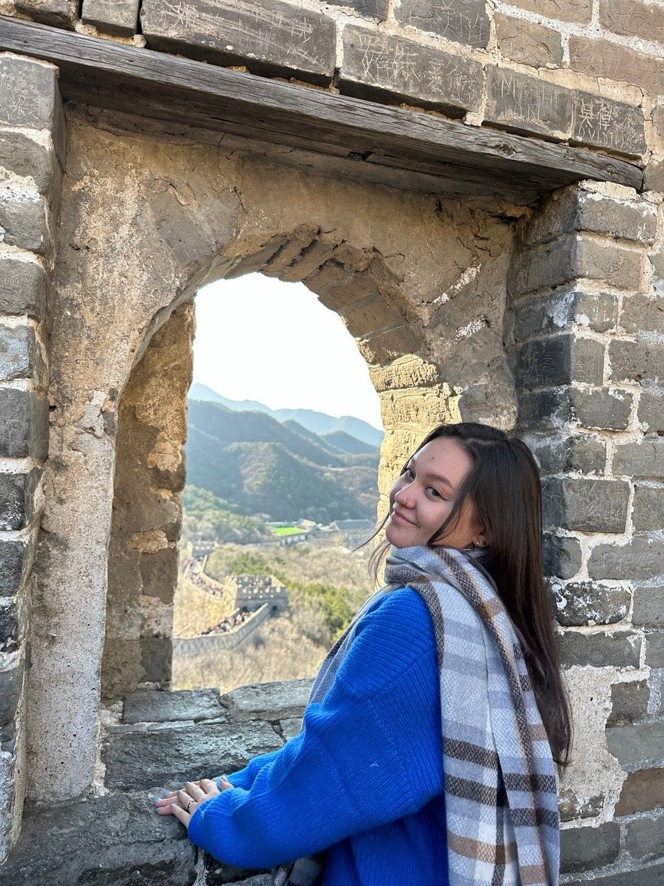 Odoo  текст и изображение блок