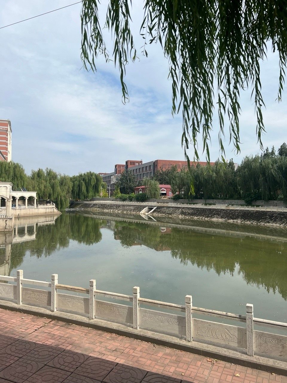 Odoo - Образец 3 для трех столбцов