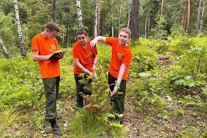 Odoo изображение и текстовый блок