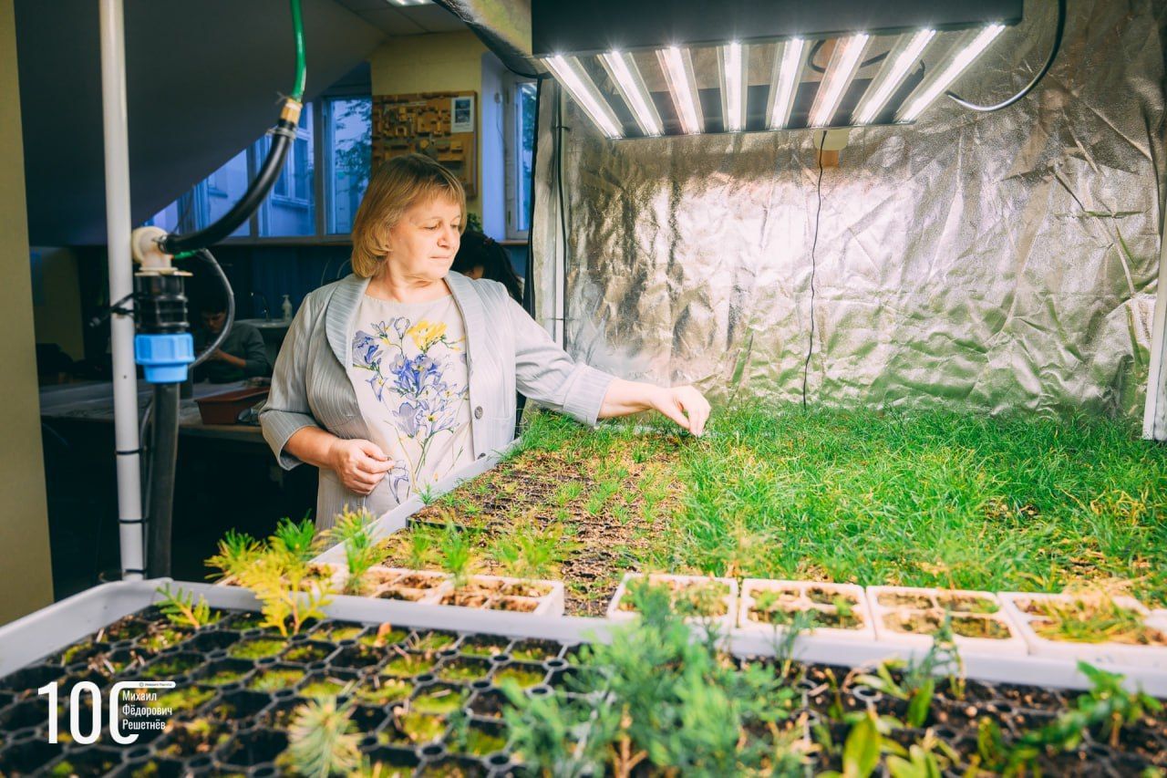 Елена Авдеева