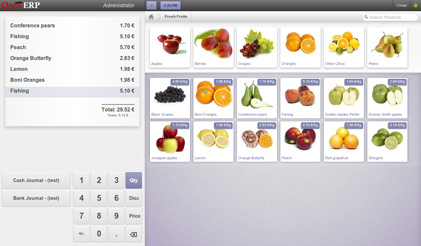 Odoo изображение и текстовый блок